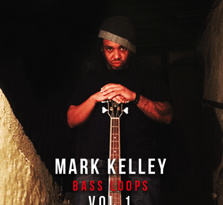 The Loop Loft Mark Kelley: Bass Loops Vol.1 MULTiFORMAT